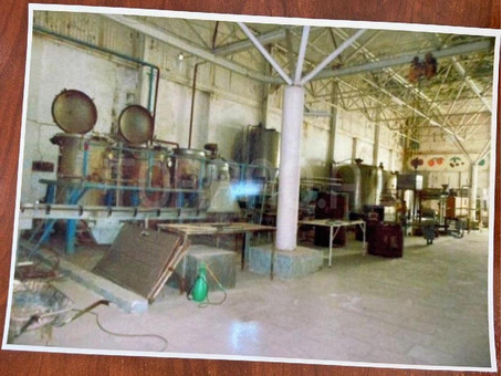 Konserv fabriki (60sot)